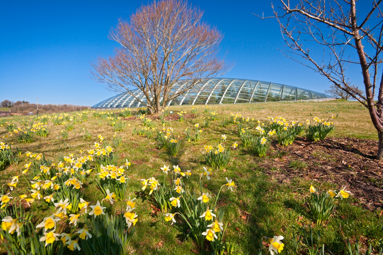 The National Botanic Garden of Wales