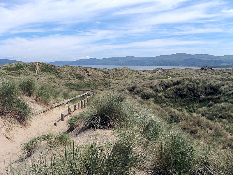 Ynyslas sand dunes with path