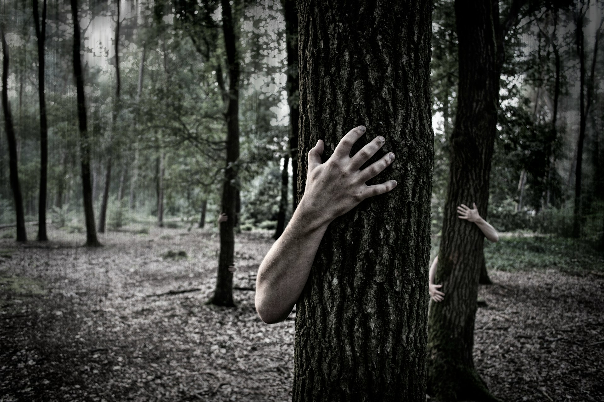 Zombie Halloween trail through woods