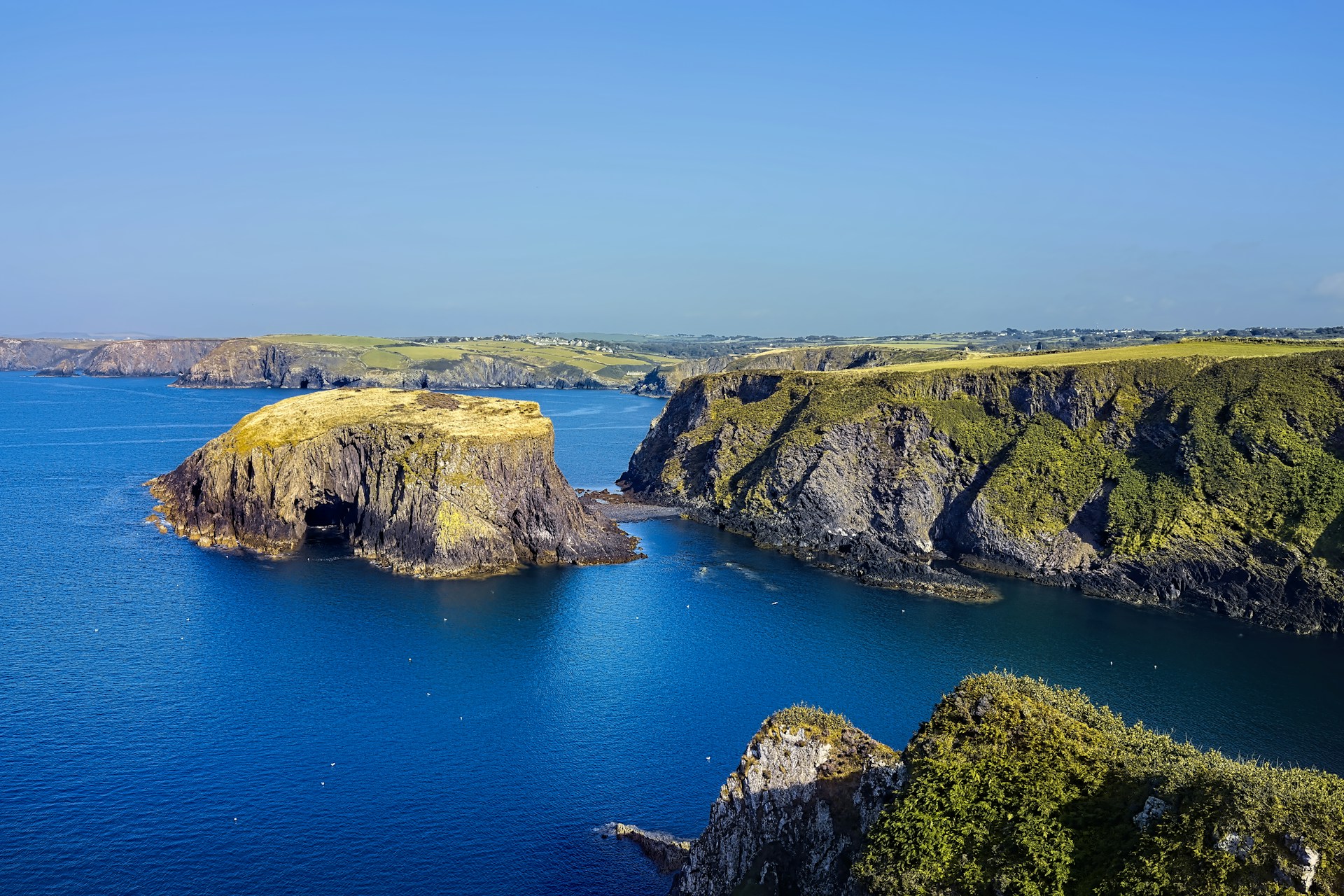 The coast at St David’s Peninsula